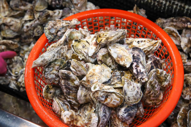 istock Korean seafood. very fresh oysters 2195710732