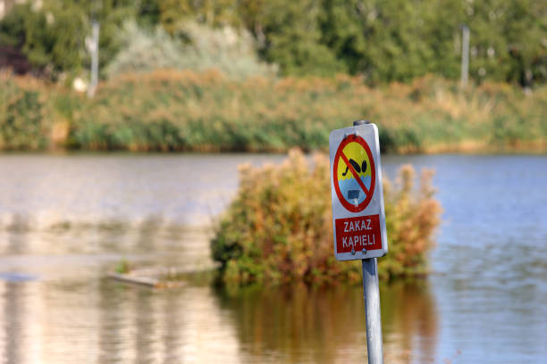 istock A sign on the lakeshore warns that swimming is forbidden 2195710838