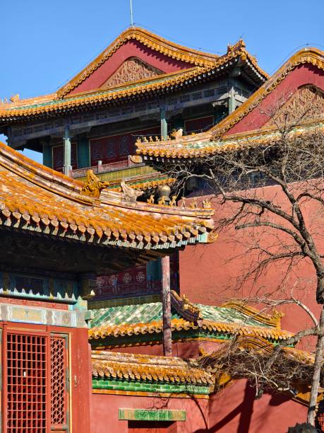istock The Forbidden City Building, Beijing, China 2195714328