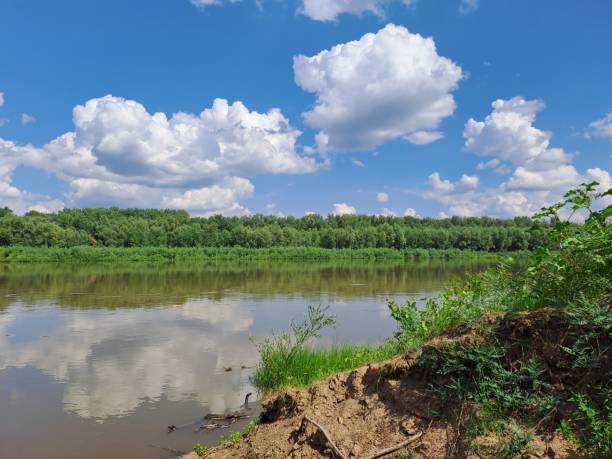 istock river landscape view of the river summer 2195718331