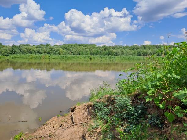 istock river landscape view of the river summer 2195718340