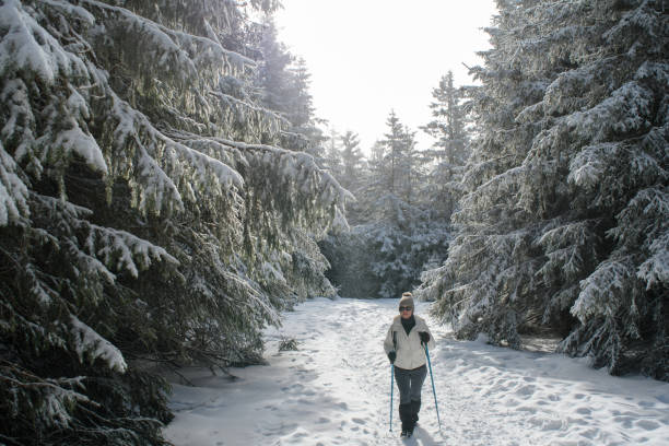 istock A woman walks in snowy forest 2195718434