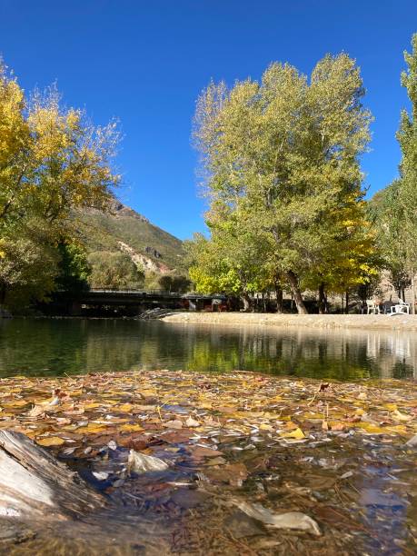 istock Pond with Autumn Leaves in Tunceli 2195720988