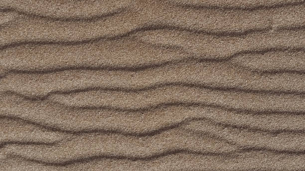 istock Natural textured sand background with wavy ripple patterns. Close-up of sand surface with flowing dune lines formed by wind or water 2195722854