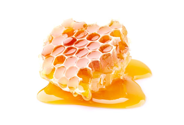istock Honeycomb with honey in closeup on white background 2195723984