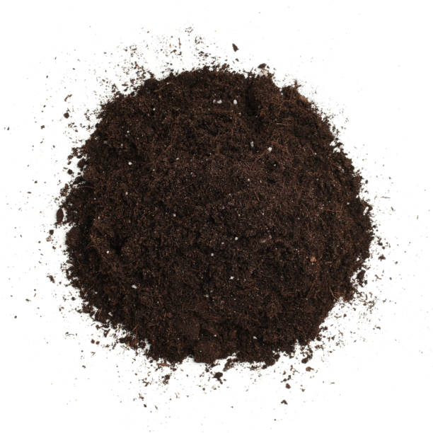 istock Heap of soil isolated on white, view from above 2195726279