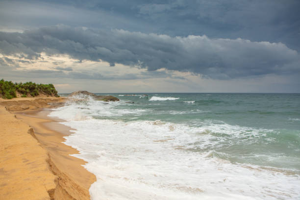 istock Idyllic Sri Lankan Coastline with Palm Trees and Blue Water 2195727317