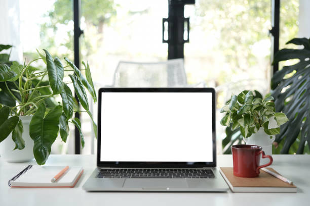 istock Laptop with red coffee mug and plants pot cozy workspace 2195729329