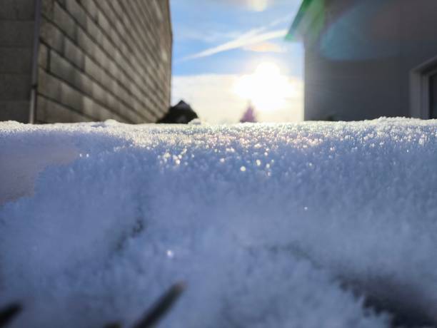 A serene winter scene captured from a low angle, showcasing a sparkling snow-covered surface with a bright sun shining in the clear blue sky