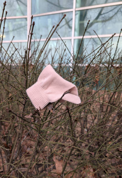 A knitted glove is left outside a library on a winter morning in Metro Vancouver.