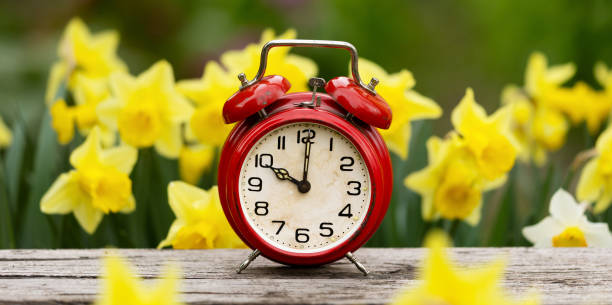istock Alarm clock with daffodil flowers in spring, springtime or daylight savings time background 2195737703