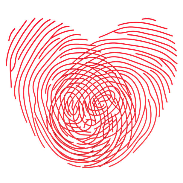 Red heart from fingerprints. Love and romance concept. 3D rendering isolated on white background
