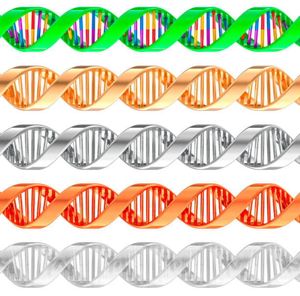 DNA spirals, set of different colors. 3D rendering isolated on white background