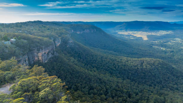 istock A lush forest flowing through a large regional valley 2195739816