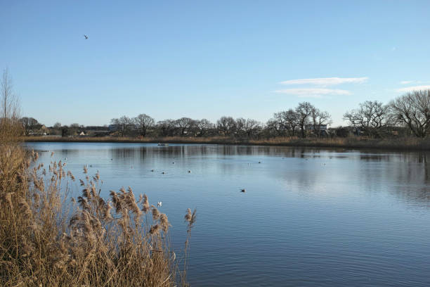 Woodberry Wetlands in Winter