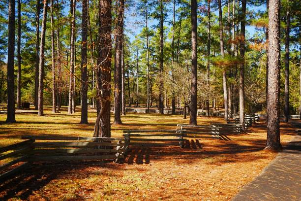 istock Poison Spring Battlefield State Park, Poison Spring Nature Trail, Poison Spring State Forest, Picnic Area,Trails, Logging Chidester Arkansas 2195755865