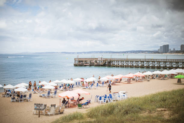 Tourists relaxing during a sunny summer morning at the Mansa beach, Punta del Este.  Wide view from the beach dunes.