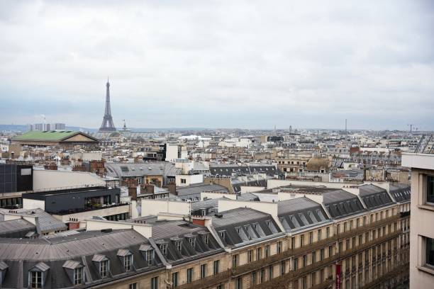 istock Paris rooftops with Eiffel Tower and historic landmarks under cloudy skies 2195759845