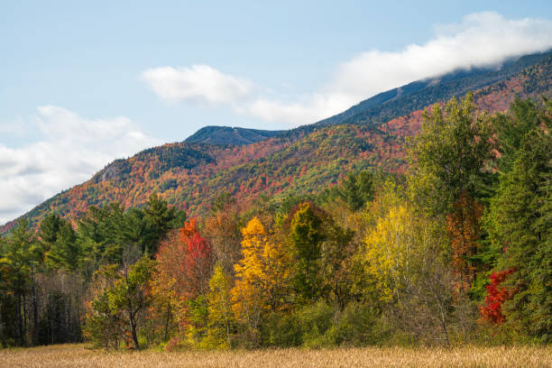 istock Autumn scenery in Adirondack Mountains 2195761370
