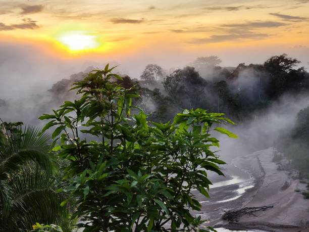 istock River Flowing Through the Heart of the Amazon Rainforest 2195762189