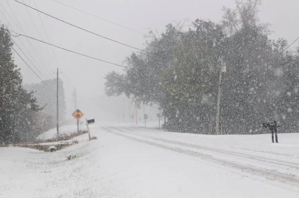 istock Snow on Bellingrath Road in Coden Alabama during Winter Storm Enzo 2195762385