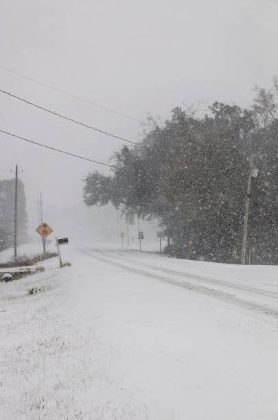 istock Snow on Bellingrath Road in Coden Alabama during Winter Storm Enzo 2195763292