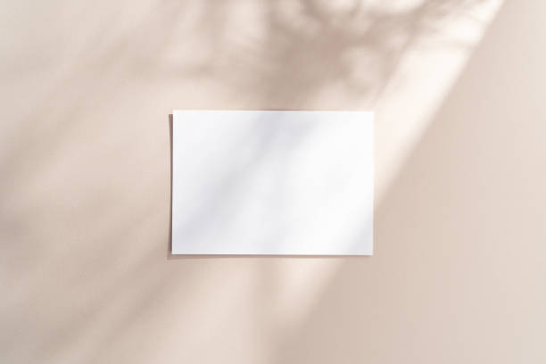 istock Blank horizontal 5x7, A4 paper mockup with gobo lighting 2195763511