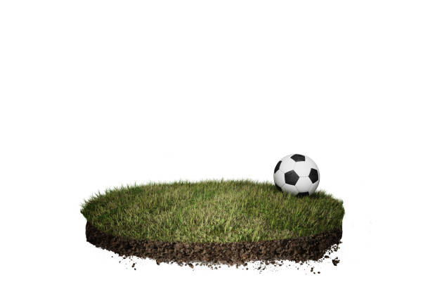 Soccer ball on green grass