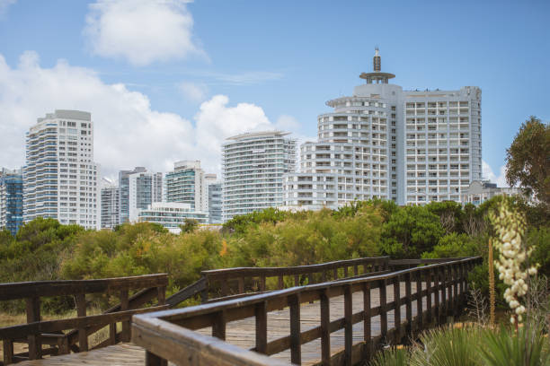 A scenic wooden boardwalk winds gracefully through lush sand dune vegetation, offering stunning views of the towering beachfront high-rise buildings in Punta del Este.