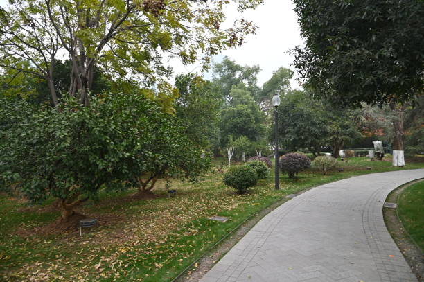 istock The Orange Isle at Changsha 2195779233