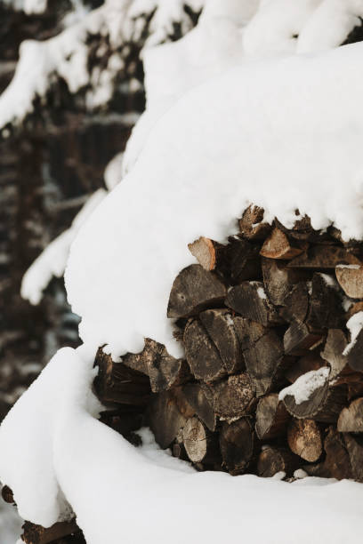 A close-up image of a woodpile buried in snow.