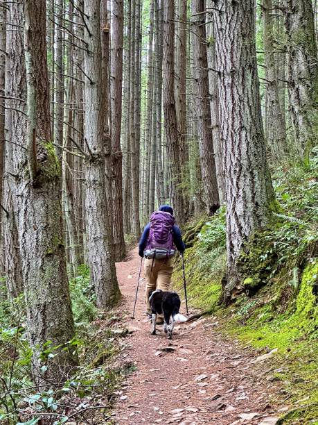 istock Woman Hiking 2195781736