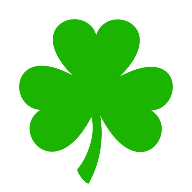 istock St. Patrick's day shamrock (clover). Symbol of Ireland. Vector illustration 2195785054