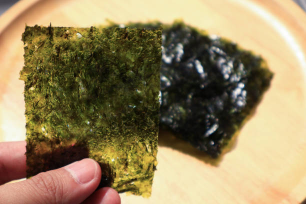 istock Hand holding a type of roasted seaweed sheet. 2195788019