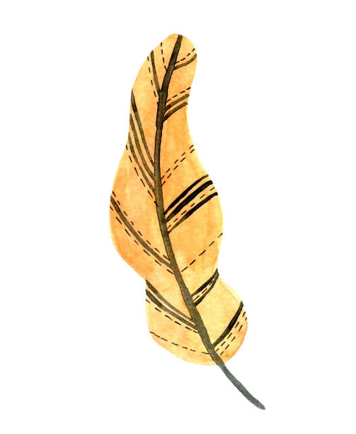istock Watercolor golden pine tree twig hand drawn design element. Unusual decorative Christmas fir branch drawing in orange color isolated. Modern conifer sprig graphic clip art 2195790997