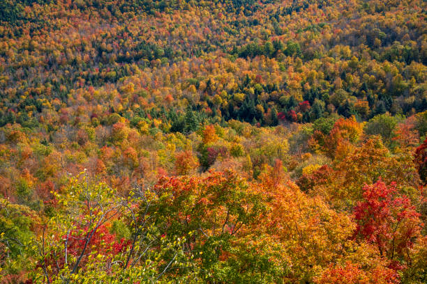 Autumn scenery from Whiteface Mountain, New York, USA