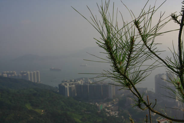 11 oct 2008 the view at Mount High West Viewing Point