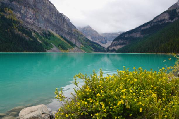 istock Lake Louise with Wildflowers and Mountain Backdrop on a Cloudy Day 2195794276