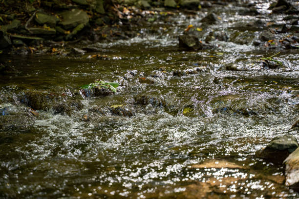 istock Close up view of water in a stream. 2195796257
