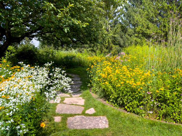 vườn cây bản địa - flower garden path hình ảnh sẵn có, bức ảnh & hình ảnh trả phí bản quyền một lần