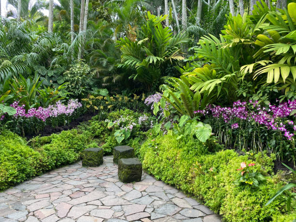 istock Tropical Lush Green Garden Setting Outdoors 2195801503