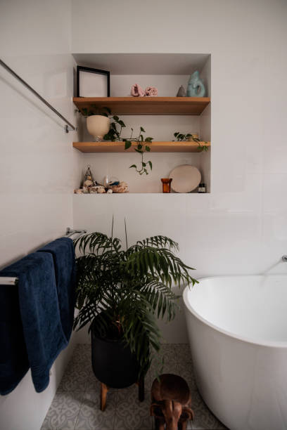 istock Interior of a modern bathroom 2195804269