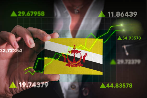 istock Graph growing up in Front Of Brunei Flag. 2195807722