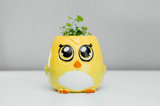 Growing greens at home is fun for kids