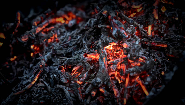 Glowing embers in a darkened space create a mesmerizing and warm ambiance during a quiet evening