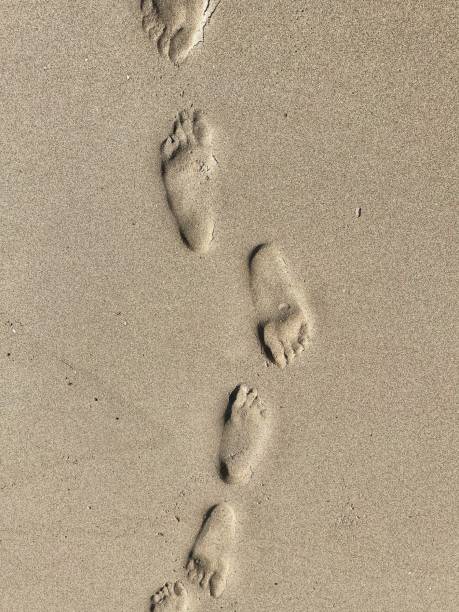 istock A human footprints in the beach sand. 2195813841