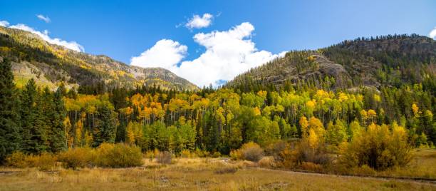istock Autumn landscape with vibrant foliage and mountains. 2195814633