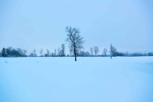 The cold winter prairie in the area around Calgary, Alberta.