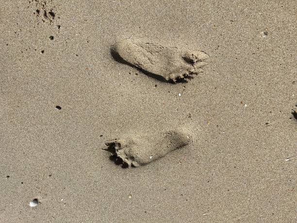 istock A human footprints in the beach sand. 2195814737