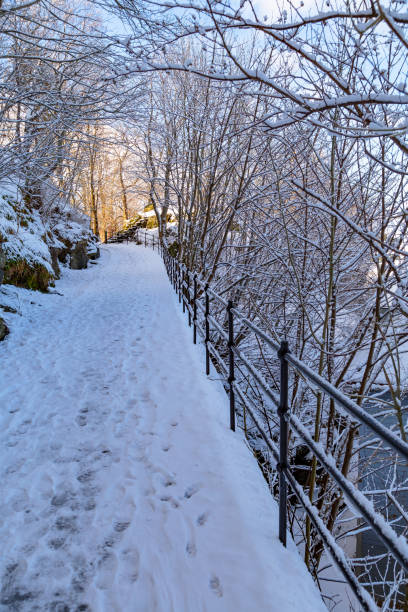 istock Winter footpath Alesund Norway 2195820517